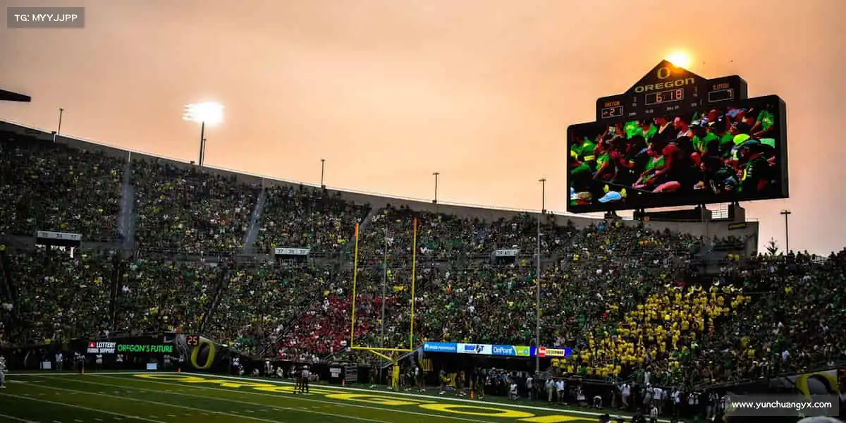 星空电竞🎾挥动球拍,击出生活的激情 —— 运动,让热爱不留遗憾!